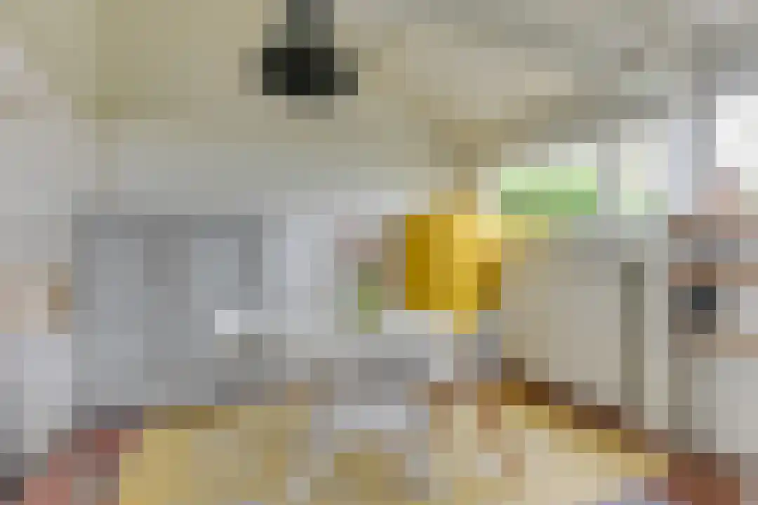 Rekerlanden 27 Warmenhuizen thumbnail 14