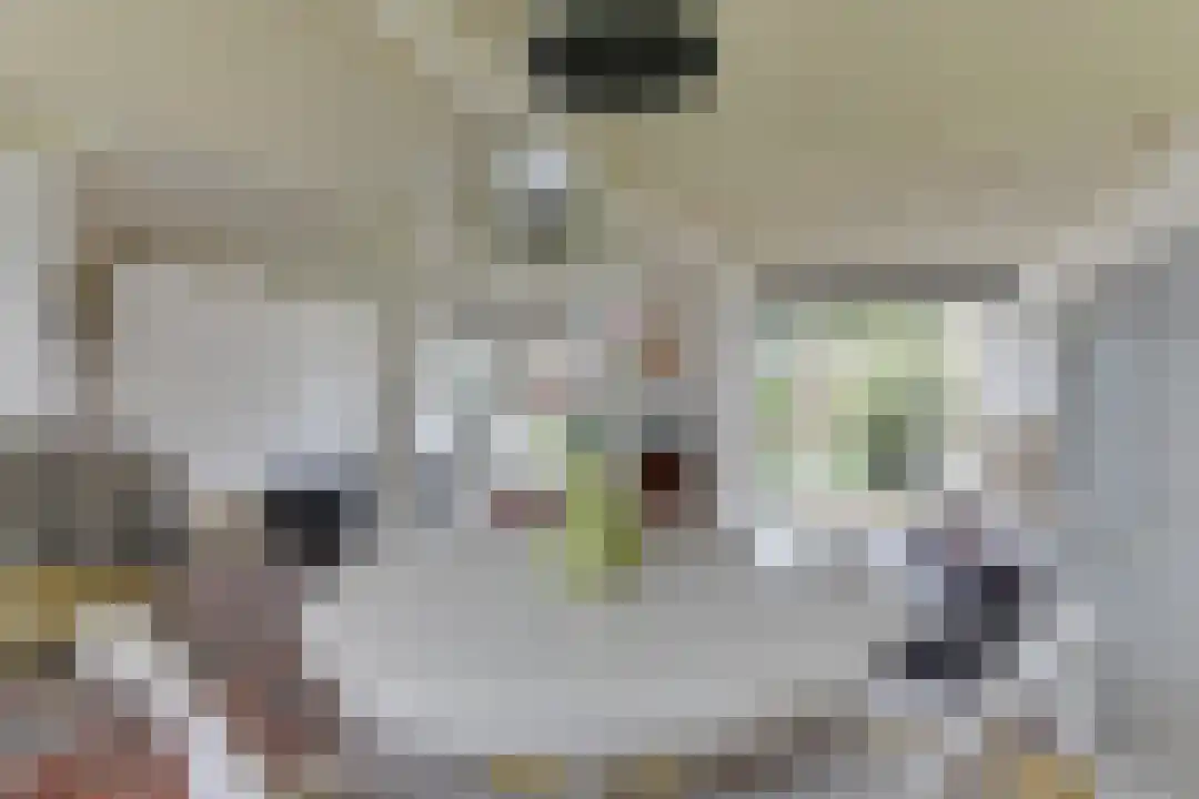 Rekerlanden 27 Warmenhuizen thumbnail 15