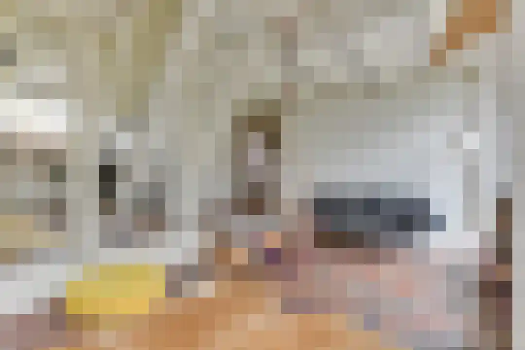 Rekerlanden 27 Warmenhuizen thumbnail 7