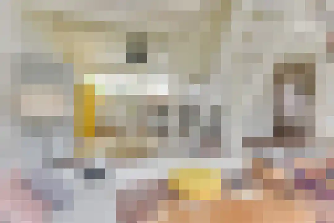 Rekerlanden 27 Warmenhuizen thumbnail 8