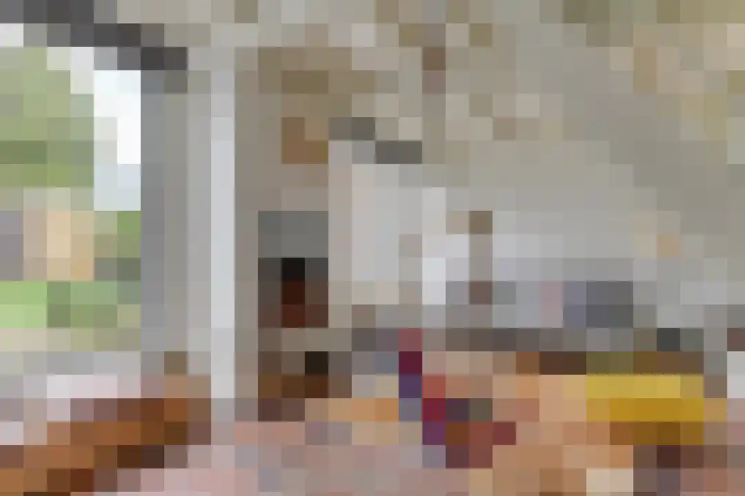 Rekerlanden 27 Warmenhuizen thumbnail 9
