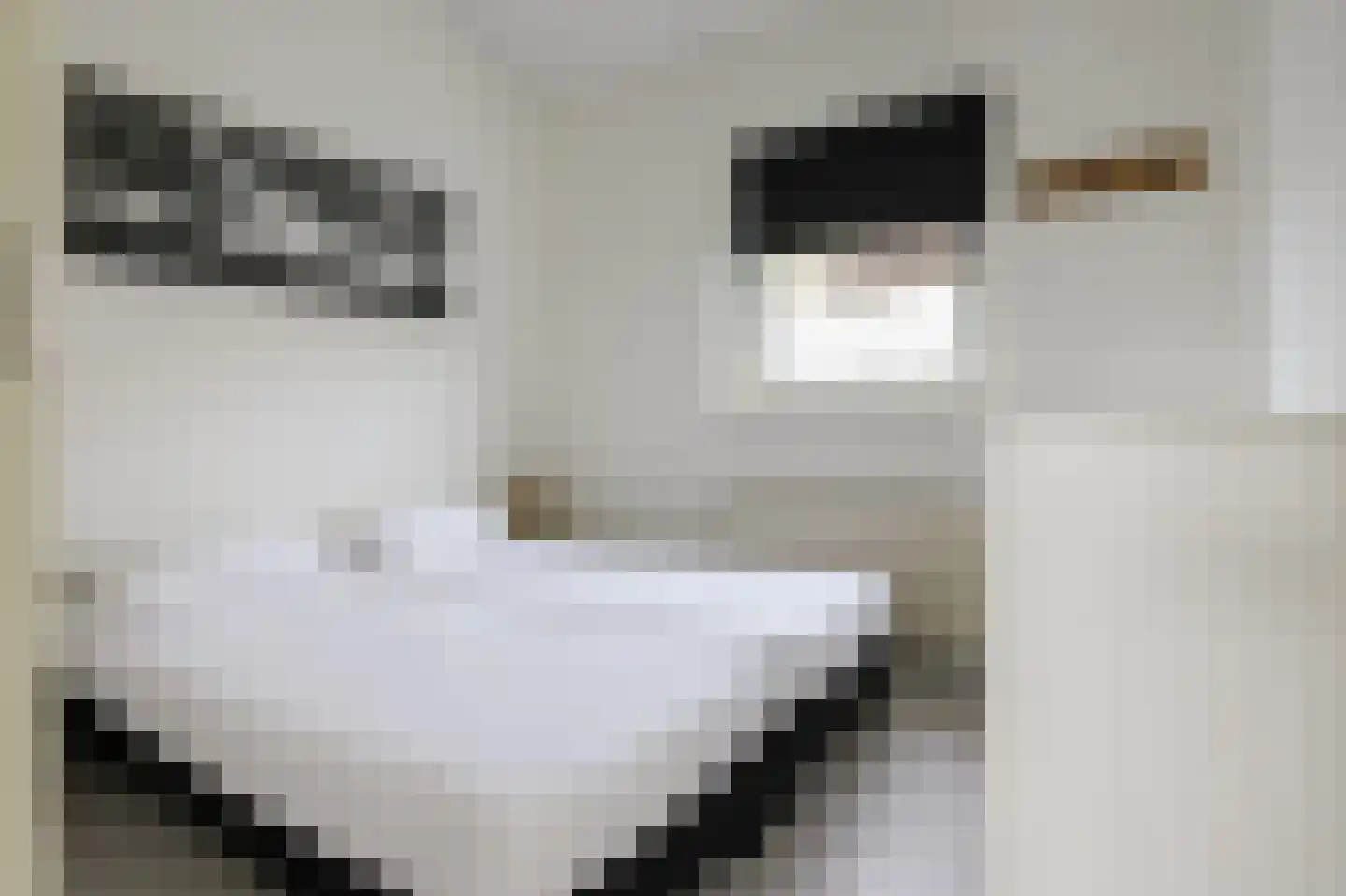 Rekerlanden 275 Warmenhuizen thumbnail 10
