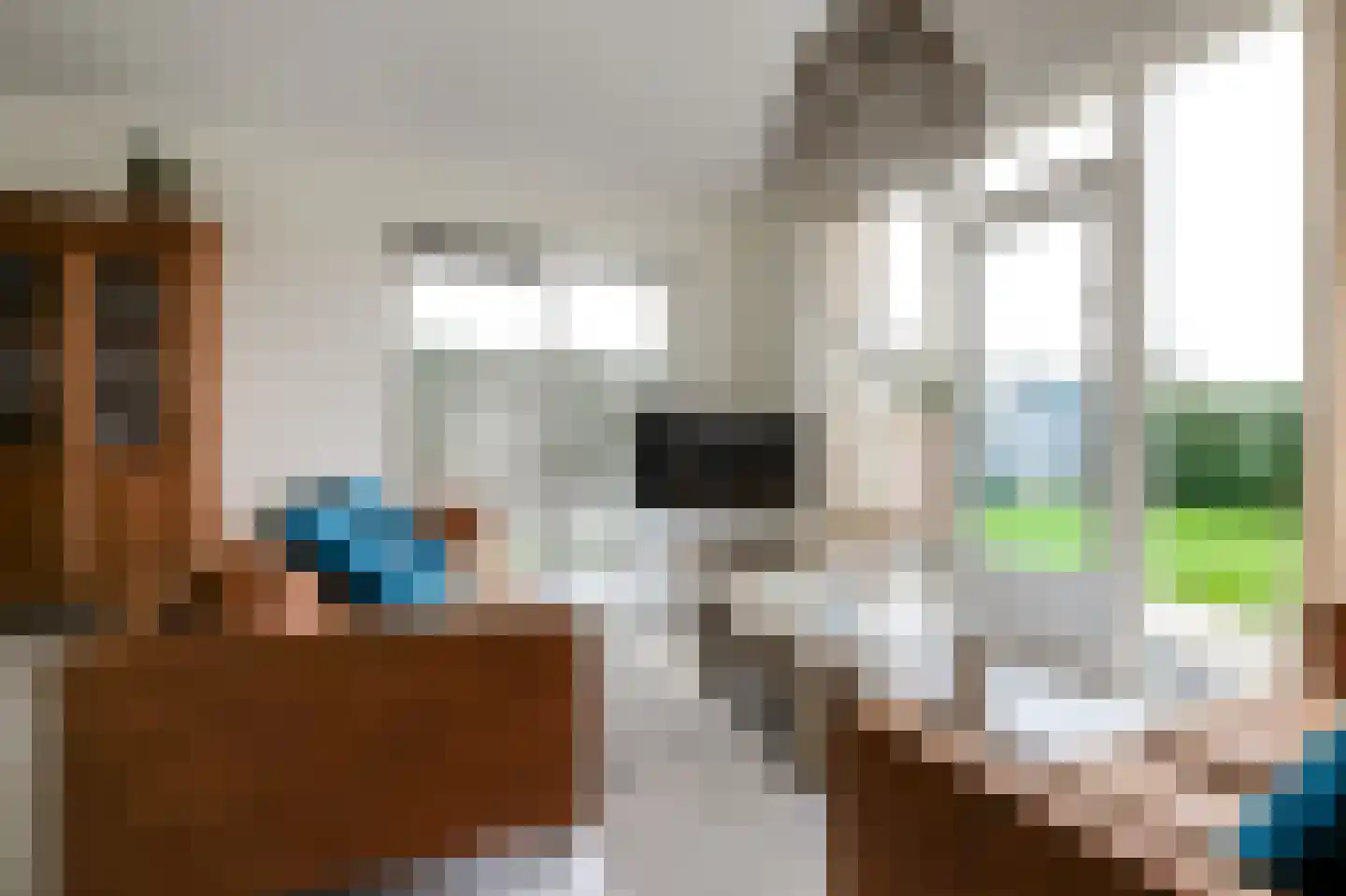 Rekerlanden 275 Warmenhuizen thumbnail 18