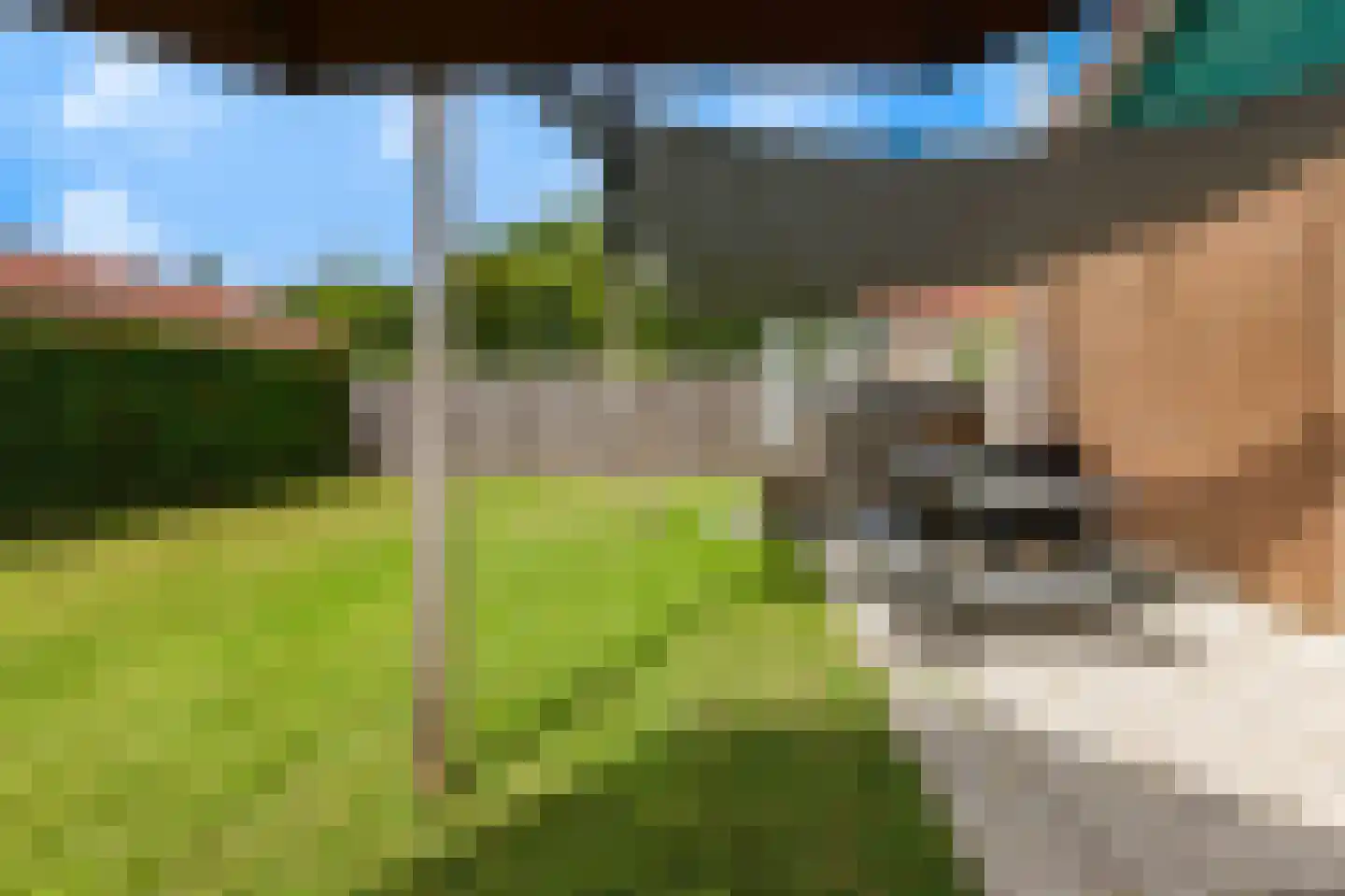 Rekerlanden 275 Warmenhuizen thumbnail 6