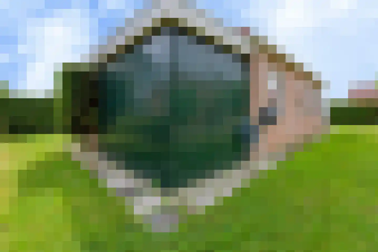 Rekerlanden 275 Warmenhuizen thumbnail 8