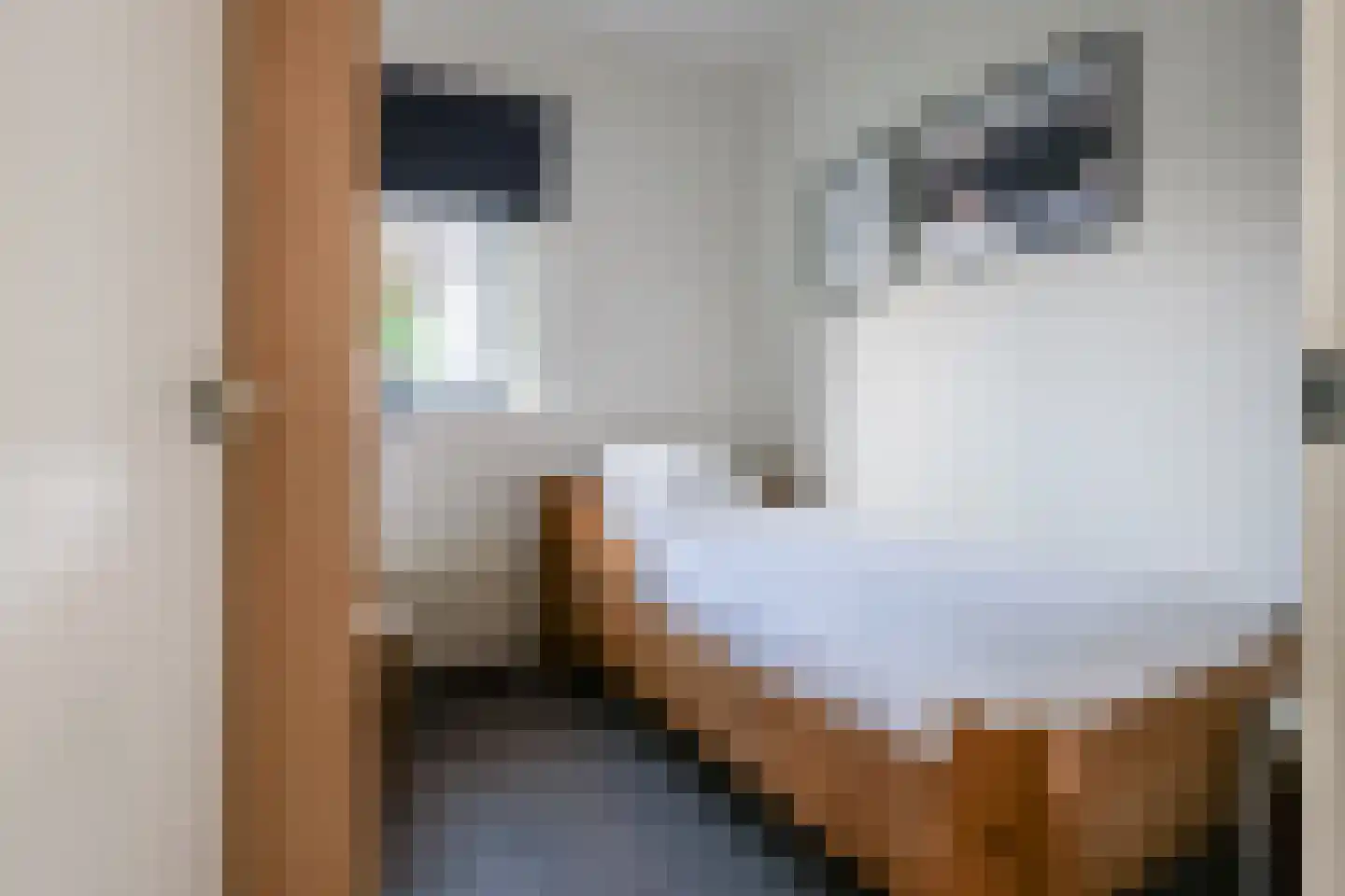 Rekerlanden 283 Warmenhuizen thumbnail 10
