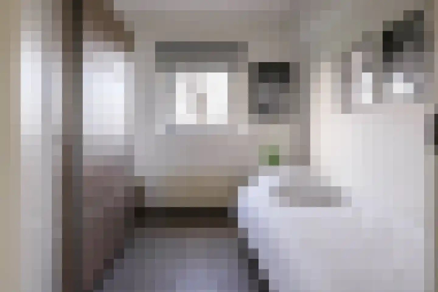 Rekerlanden 283 Warmenhuizen thumbnail 11