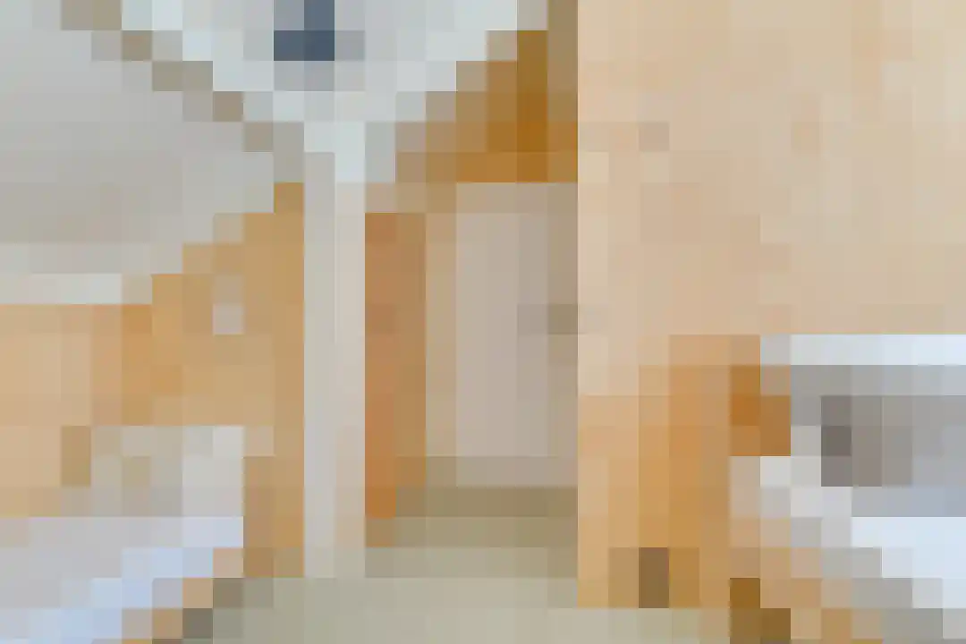 Rekerlanden 45 Warmenhuizen thumbnail 31