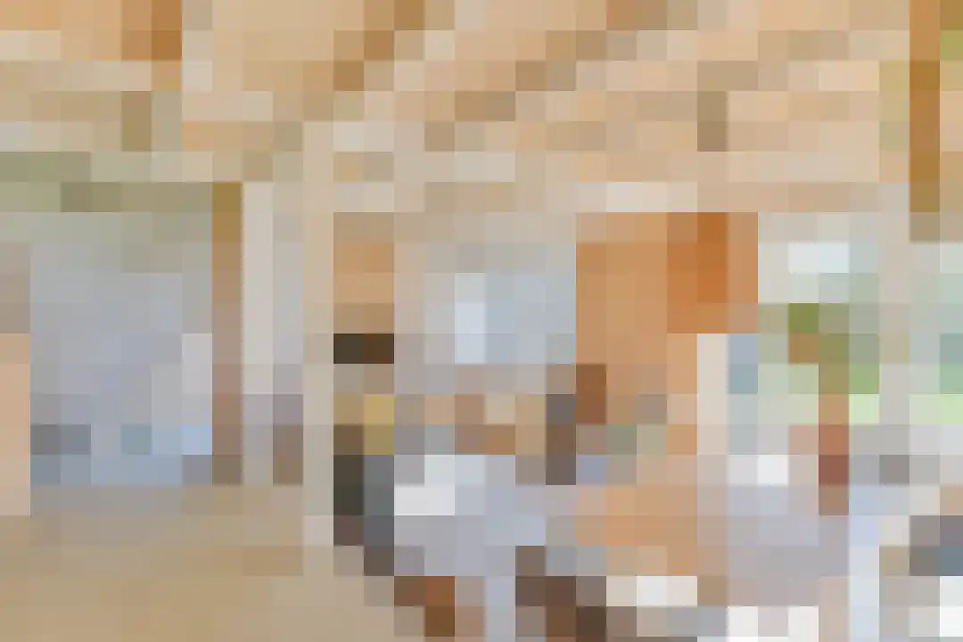 Rekerlanden 45 Warmenhuizen thumbnail 4