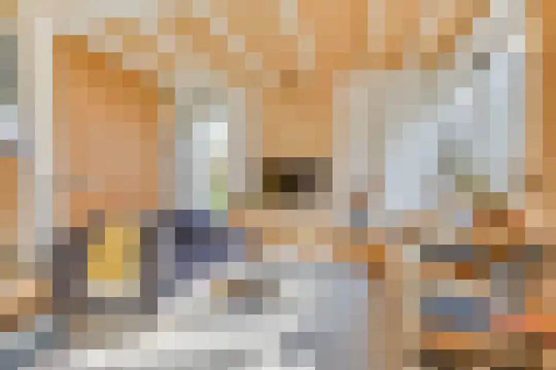 Rekerlanden 45 Warmenhuizen thumbnail 7