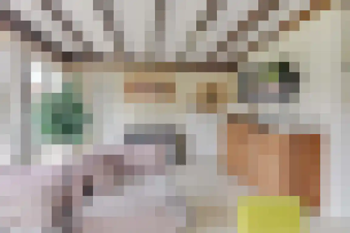 Rekerlanden 54 Warmenhuizen thumbnail 10