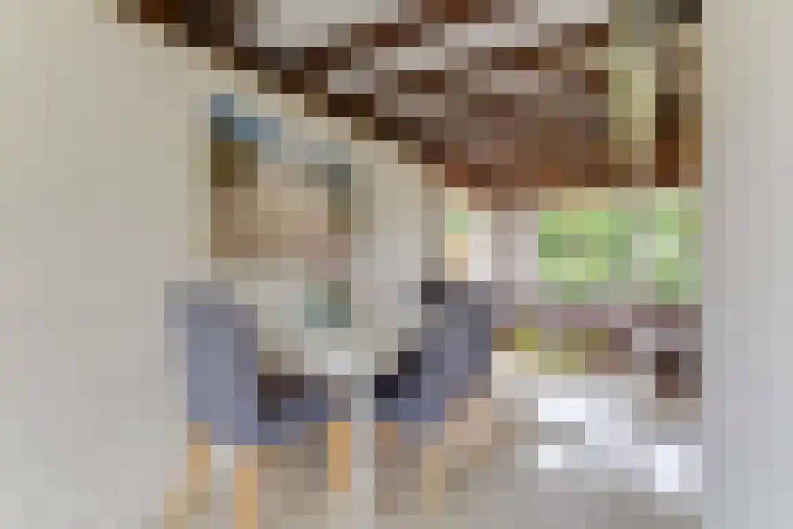 Rekerlanden 54 Warmenhuizen thumbnail 12