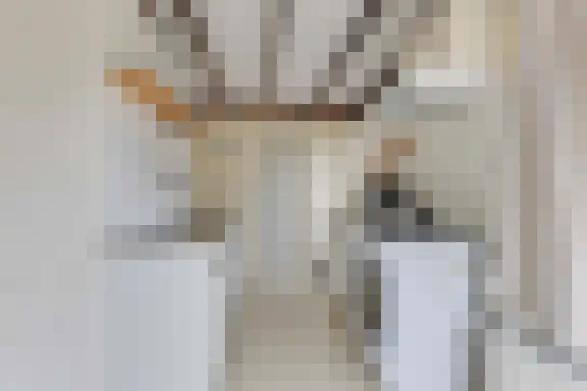 Rekerlanden 54 Warmenhuizen thumbnail 14