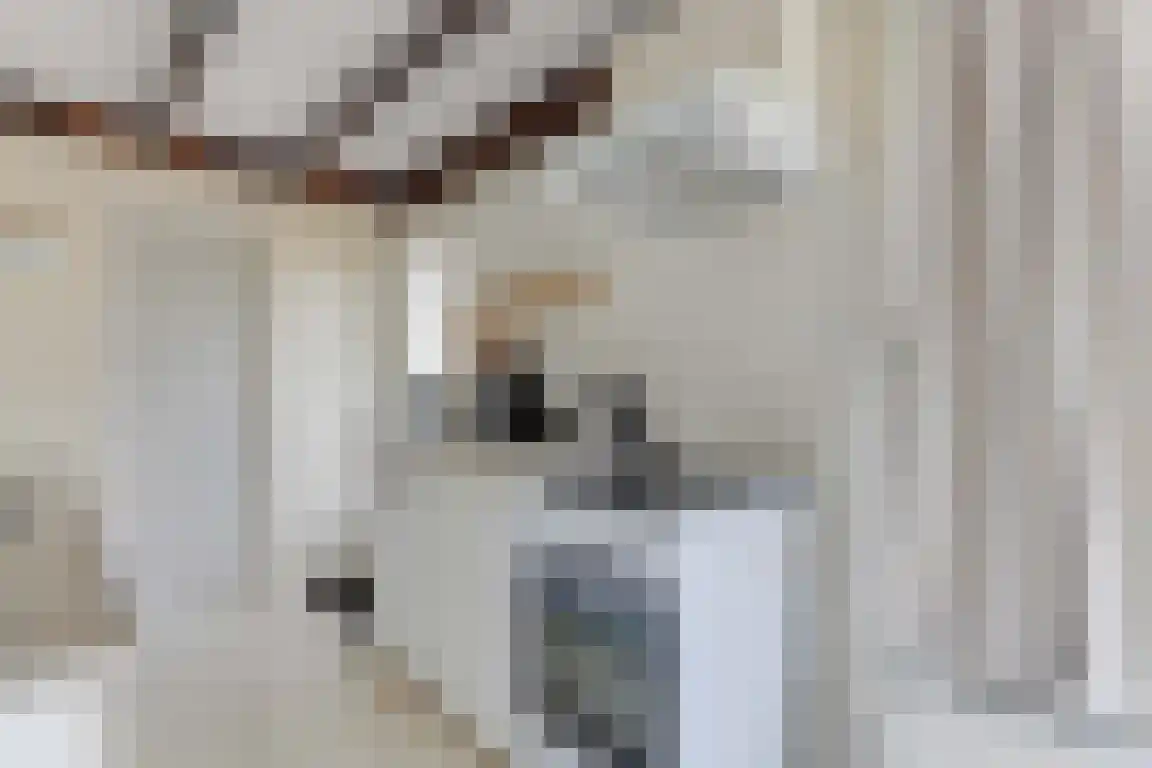 Rekerlanden 54 Warmenhuizen thumbnail 16