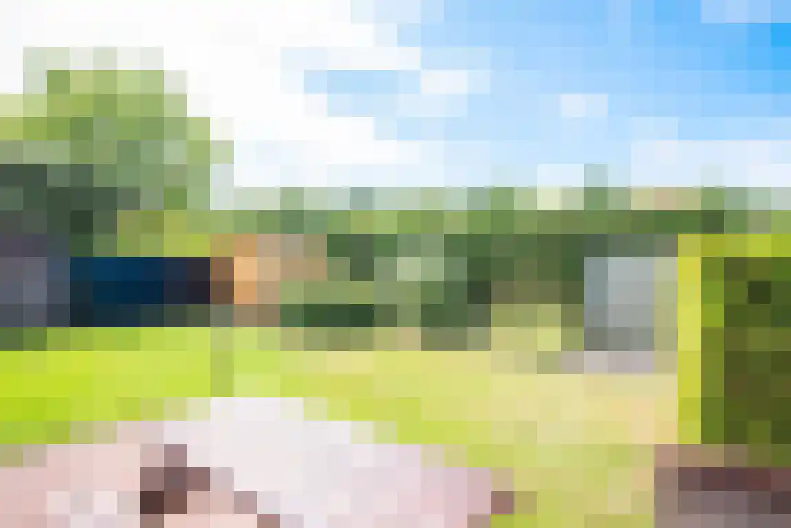 Rekerlanden 54 Warmenhuizen thumbnail 30