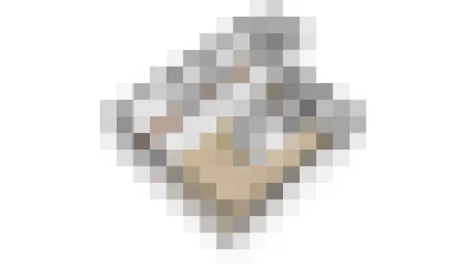 Rekerlanden 54 Warmenhuizen thumbnail 36