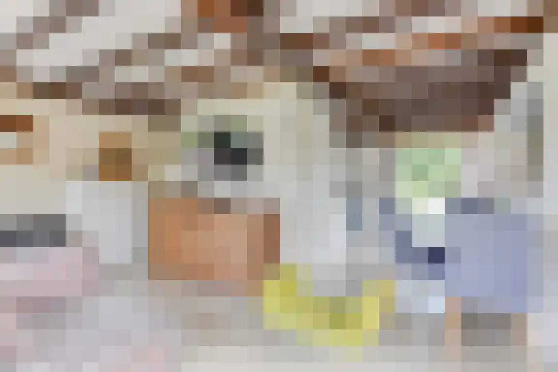 Rekerlanden 54 Warmenhuizen thumbnail 7