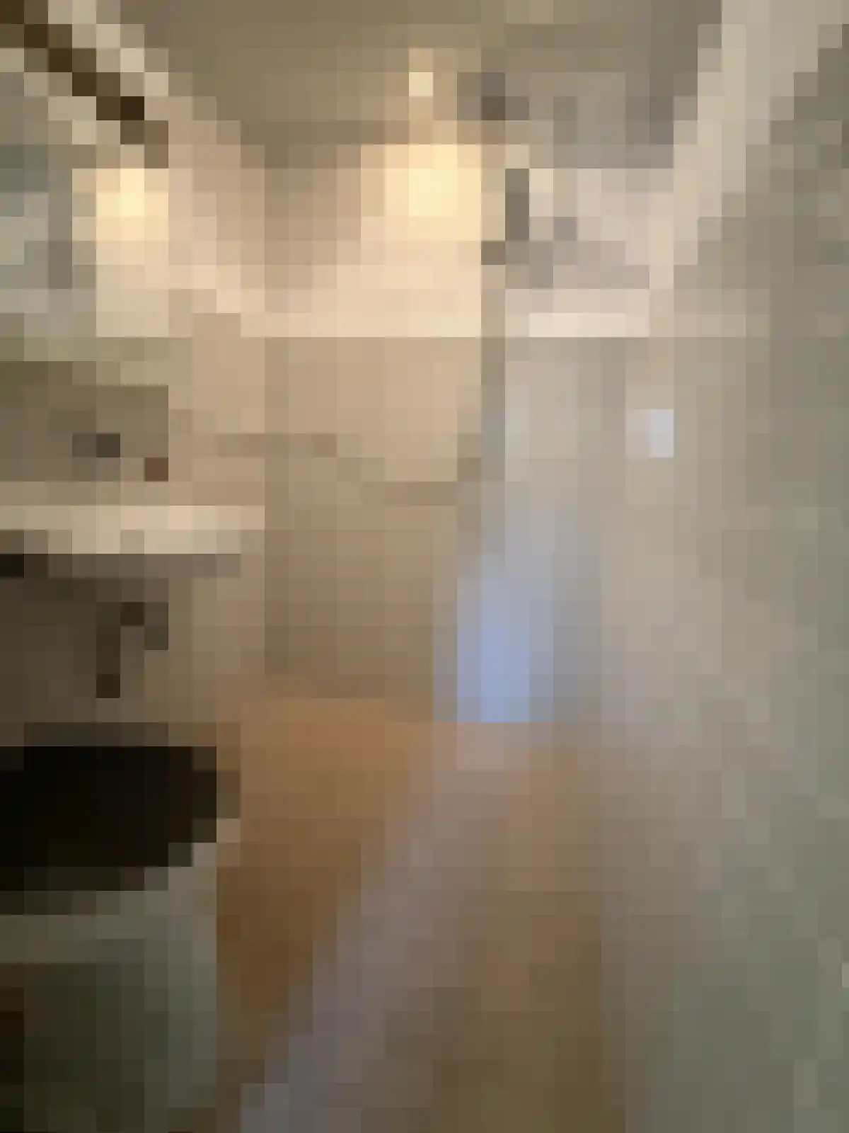 Rekerlanden 62 Warmenhuizen thumbnail 10