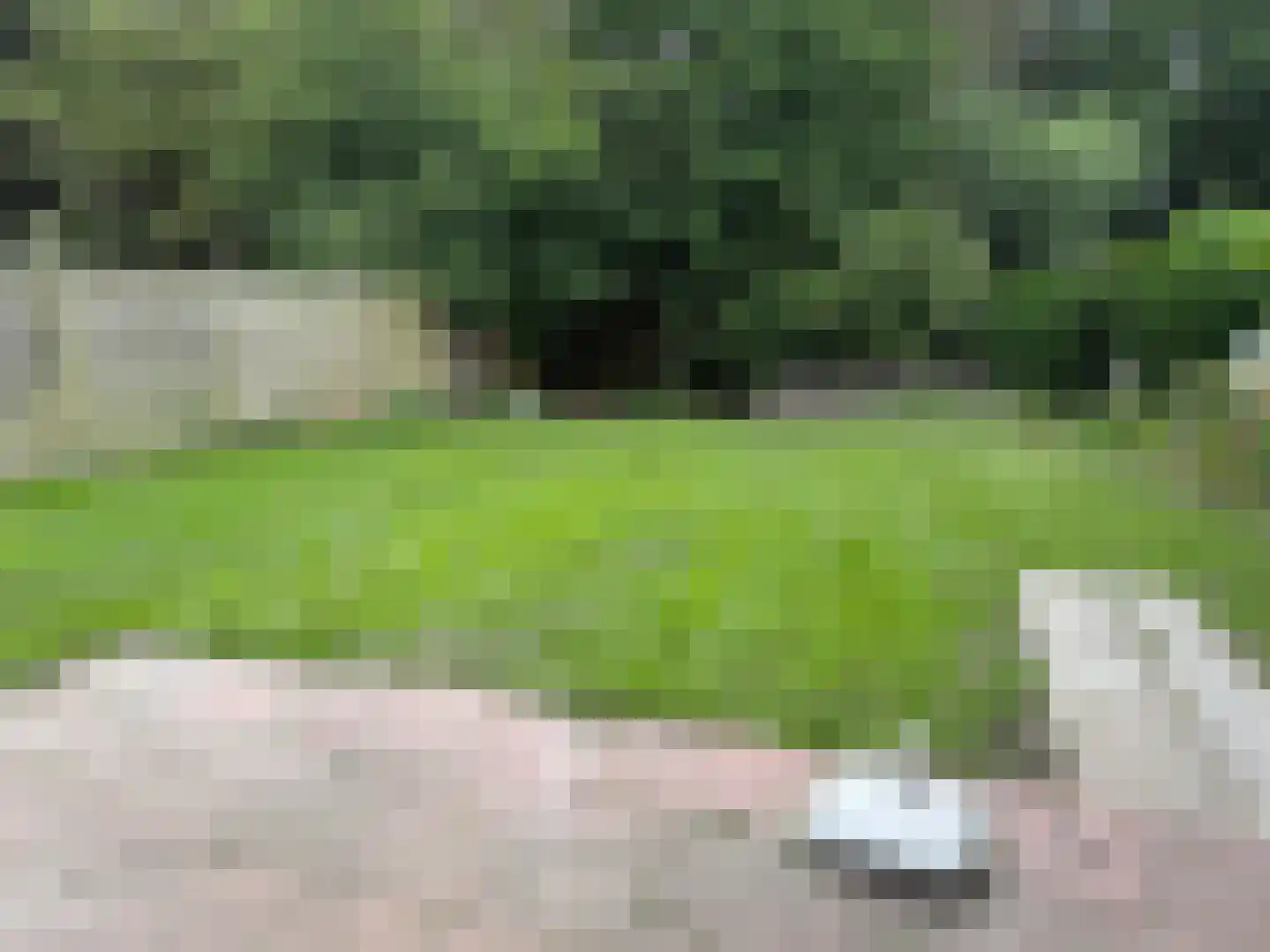 Rekerlanden 62 Warmenhuizen thumbnail 11