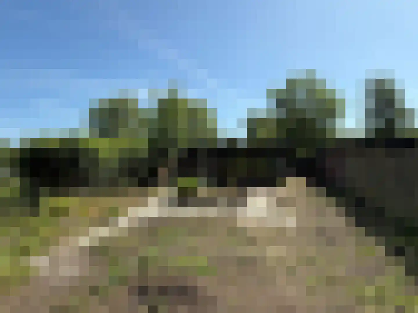 Rekerlanden 62 Warmenhuizen thumbnail 11