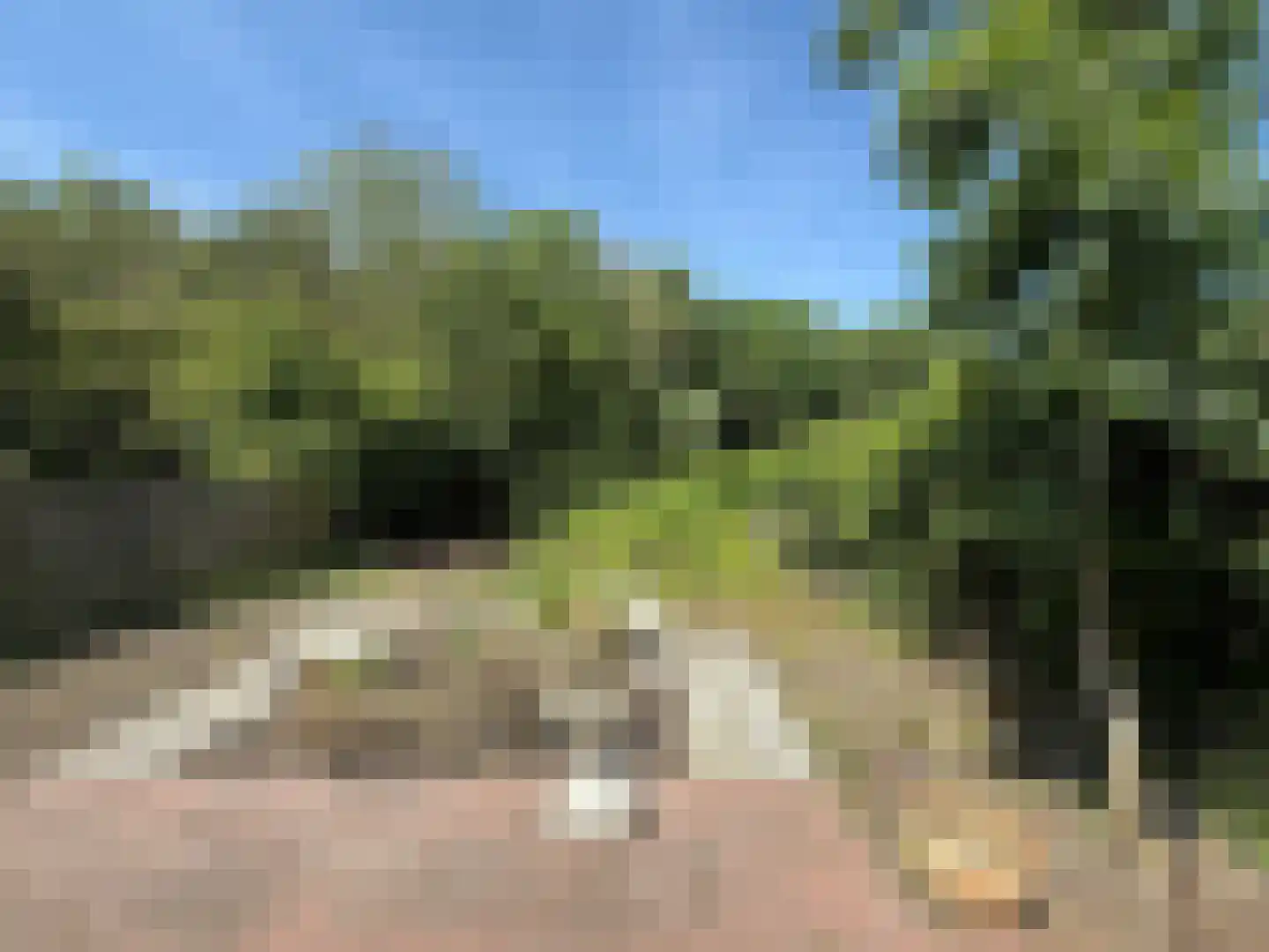 Rekerlanden 62 Warmenhuizen thumbnail 12