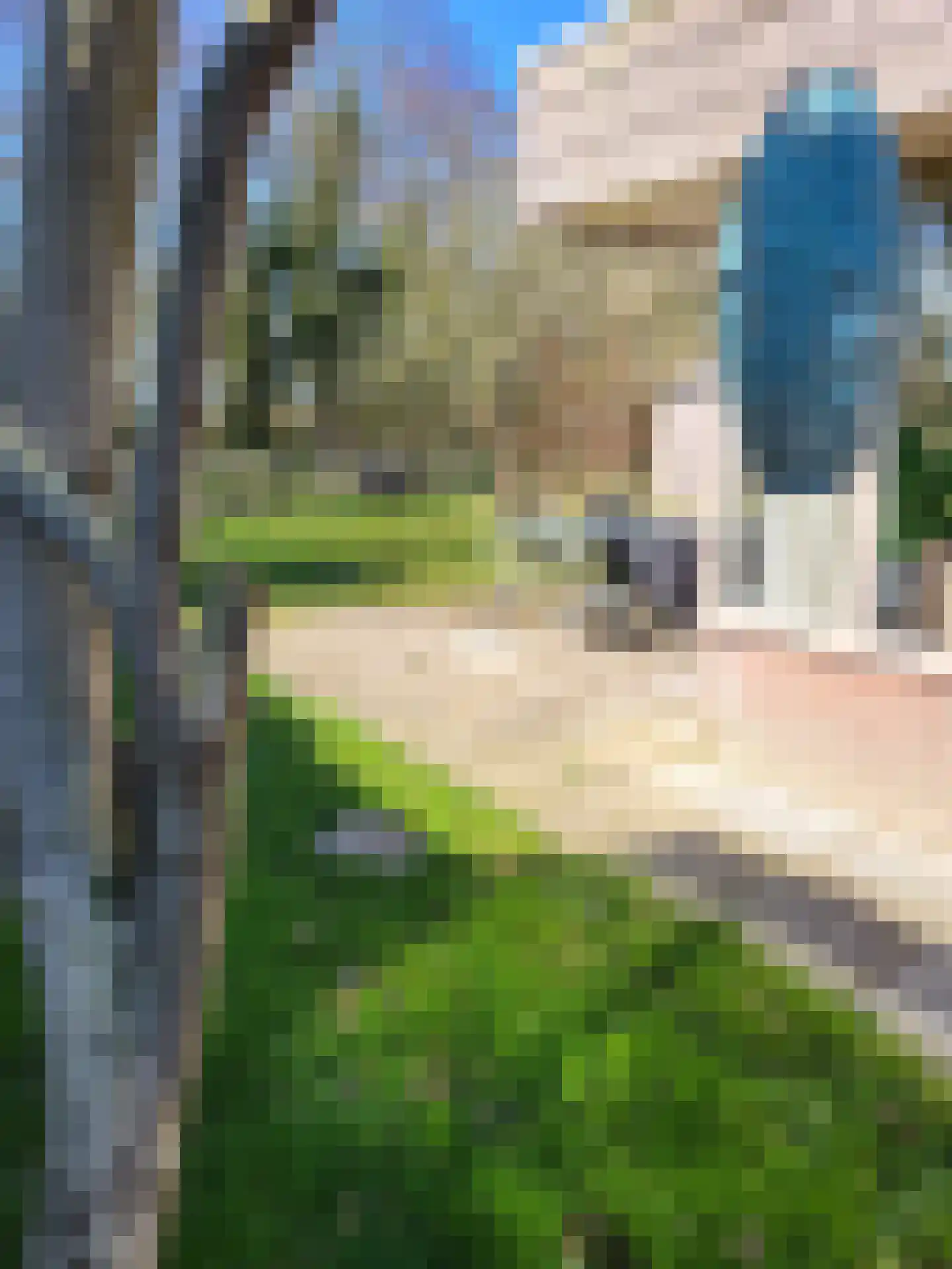 Rekerlanden 65 Warmenhuizen thumbnail 18