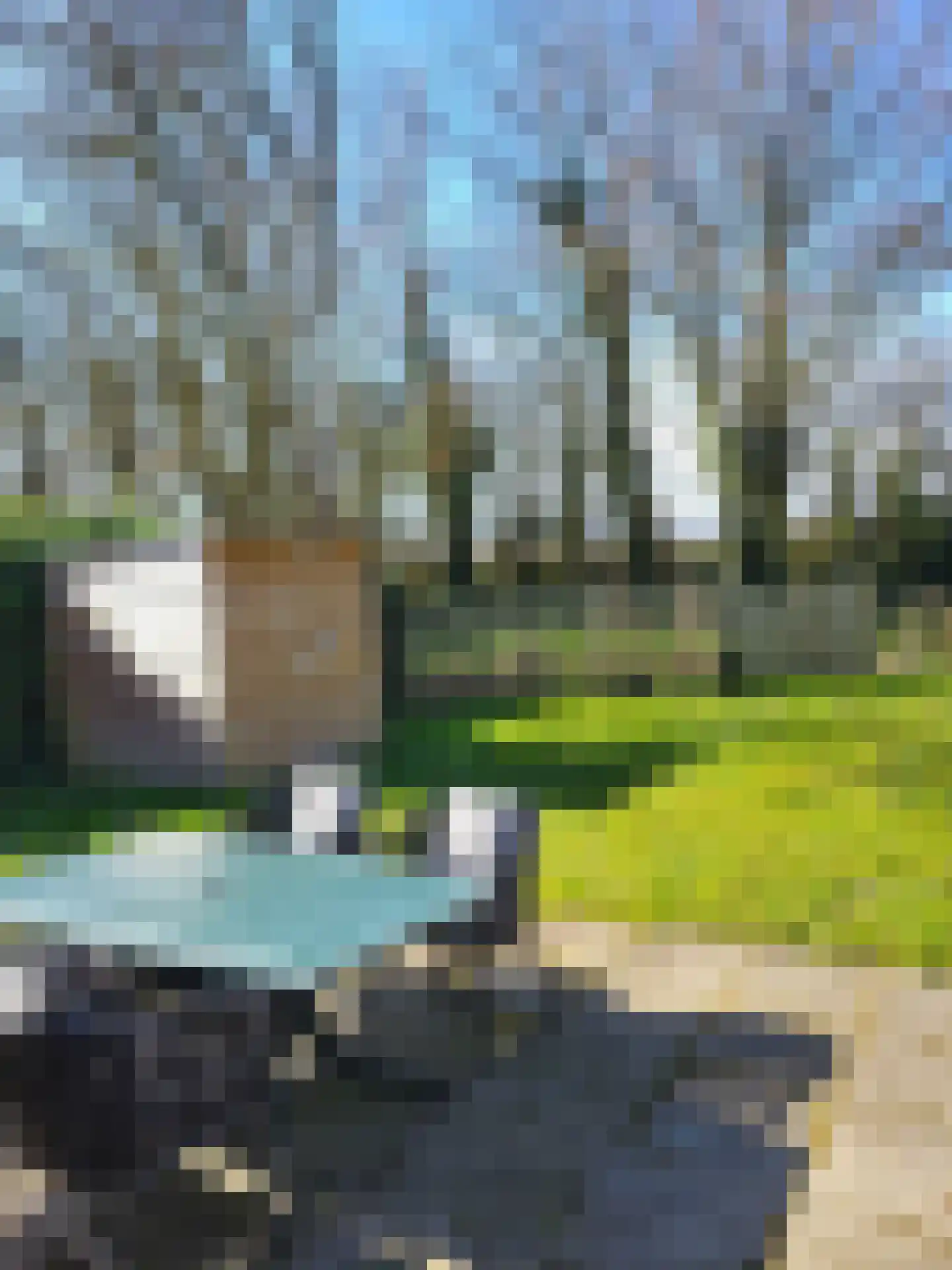 Rekerlanden 65 Warmenhuizen thumbnail 20
