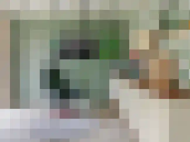 Rekerlanden 65 Warmenhuizen thumbnail 4