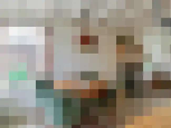 Rekerlanden 65 Warmenhuizen thumbnail 5