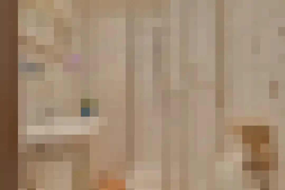 Rekerlanden 70 Warmenhuizen thumbnail 18