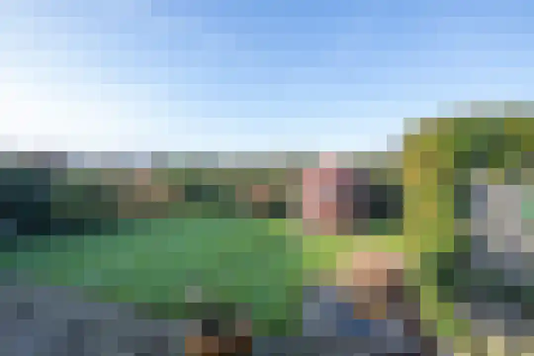 Rekerlanden 70 Warmenhuizen thumbnail 30