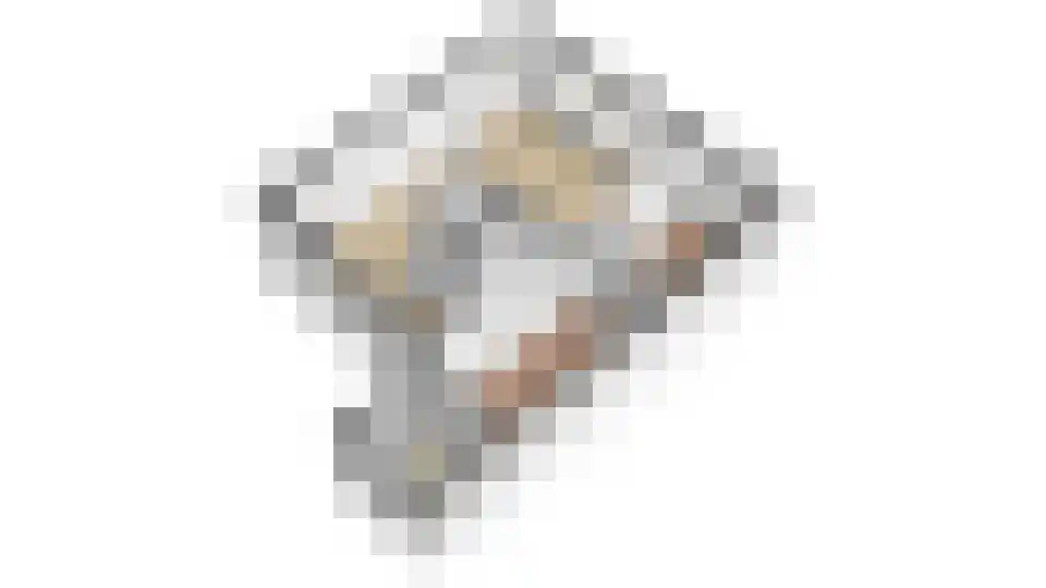 Rekerlanden 70 Warmenhuizen thumbnail 32