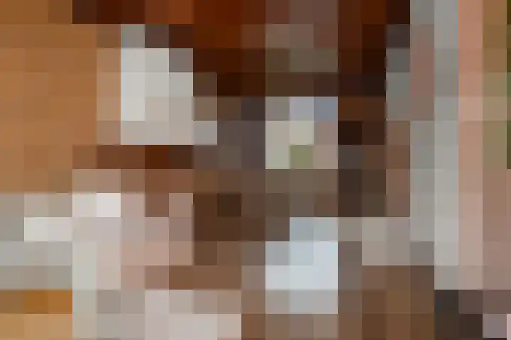 Rekerstraat 10 Alkmaar thumbnail 4