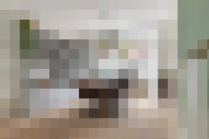 Rekerstraat 13 Alkmaar thumbnail 8