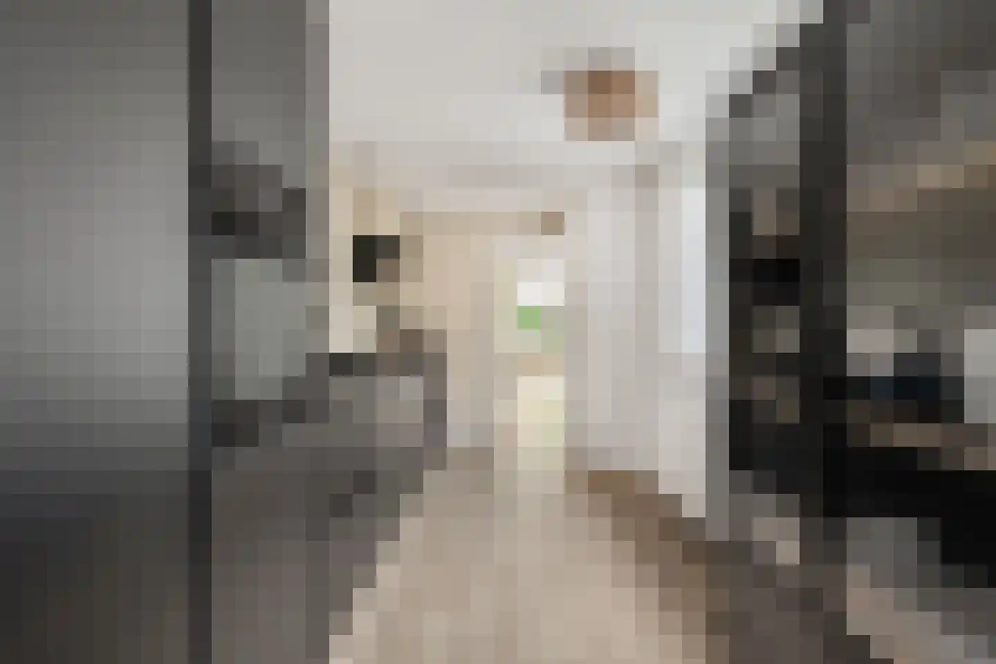 Rekerstraat 2 Alkmaar thumbnail 15