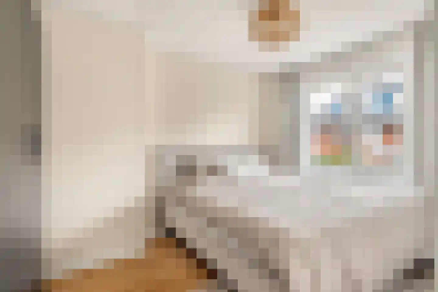 Rekerstraat 2 Alkmaar thumbnail 18