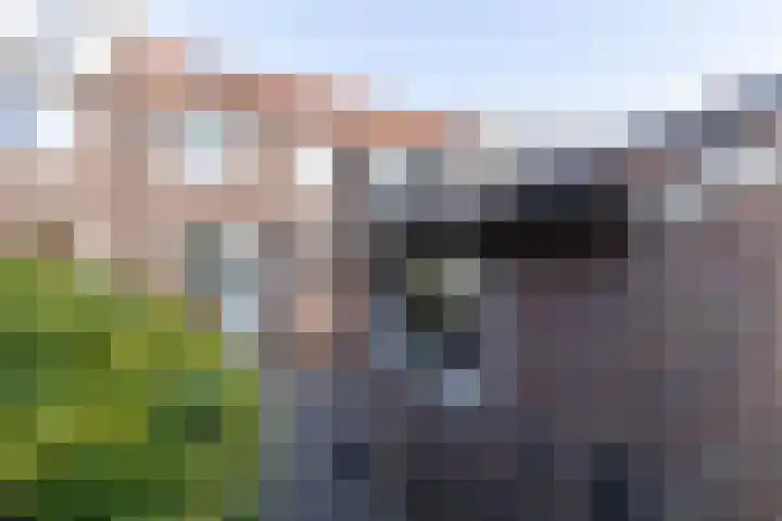 Rekerstraat 32 Alkmaar thumbnail 17