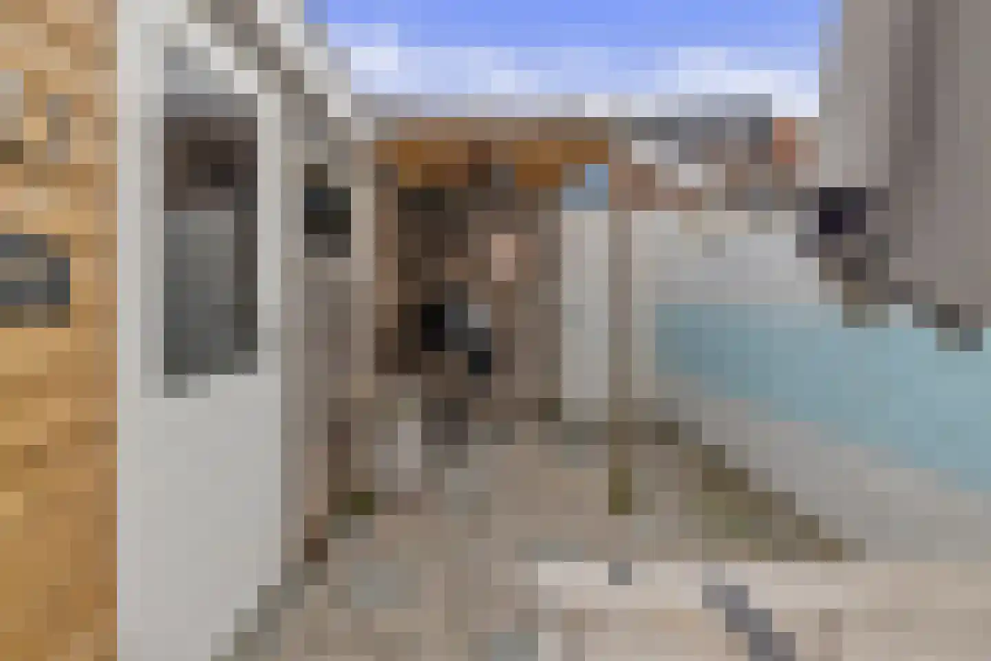 Rekerstraat 56 Alkmaar thumbnail 36