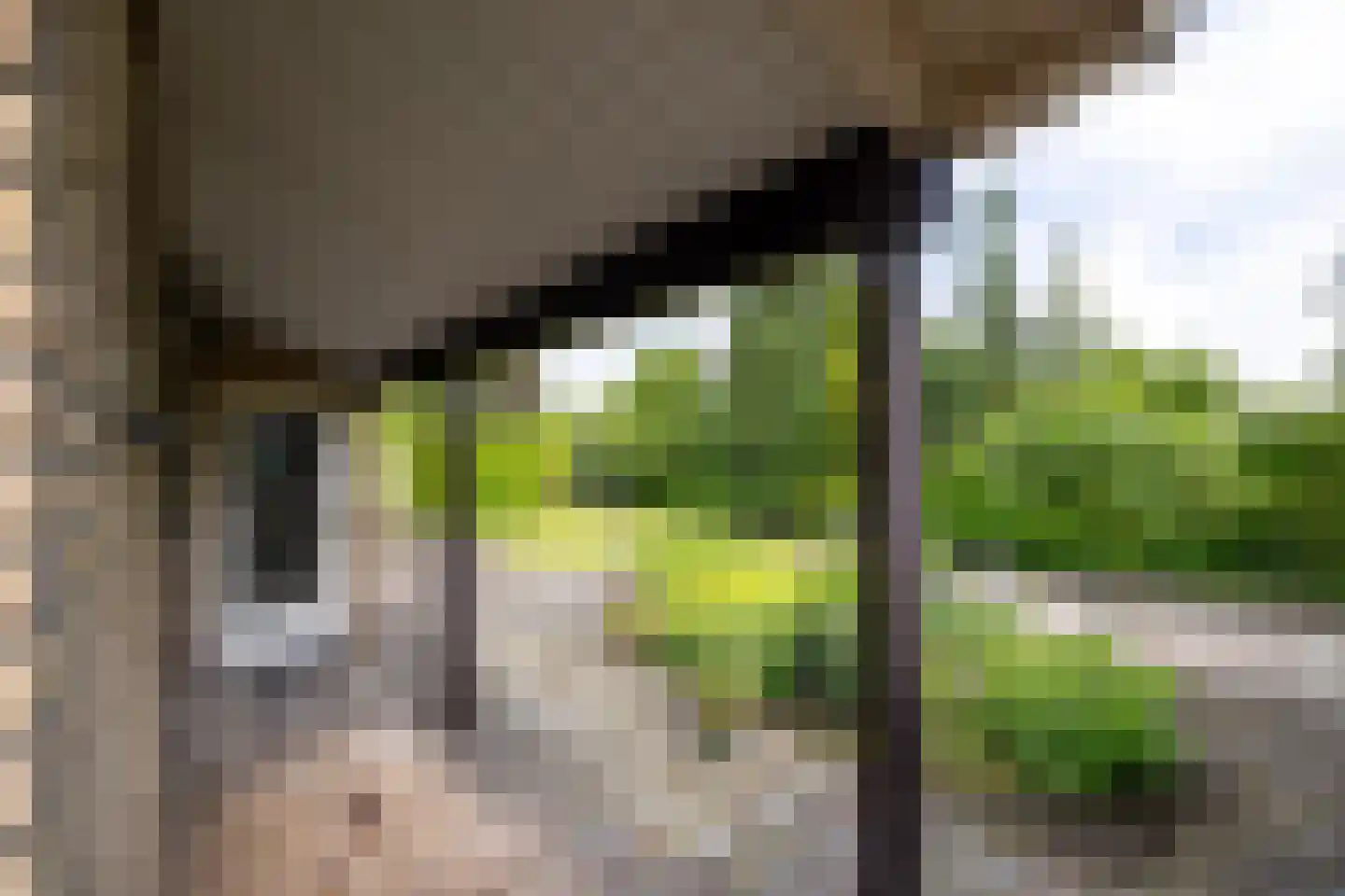 Rekhemseweg 27 Doetinchem thumbnail 16