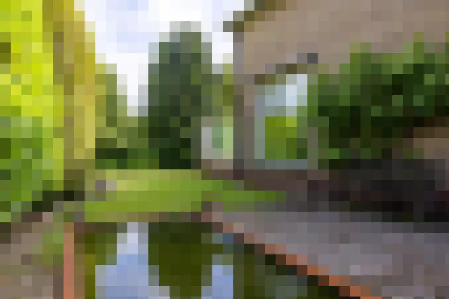Rekhemseweg 27 Doetinchem thumbnail 21
