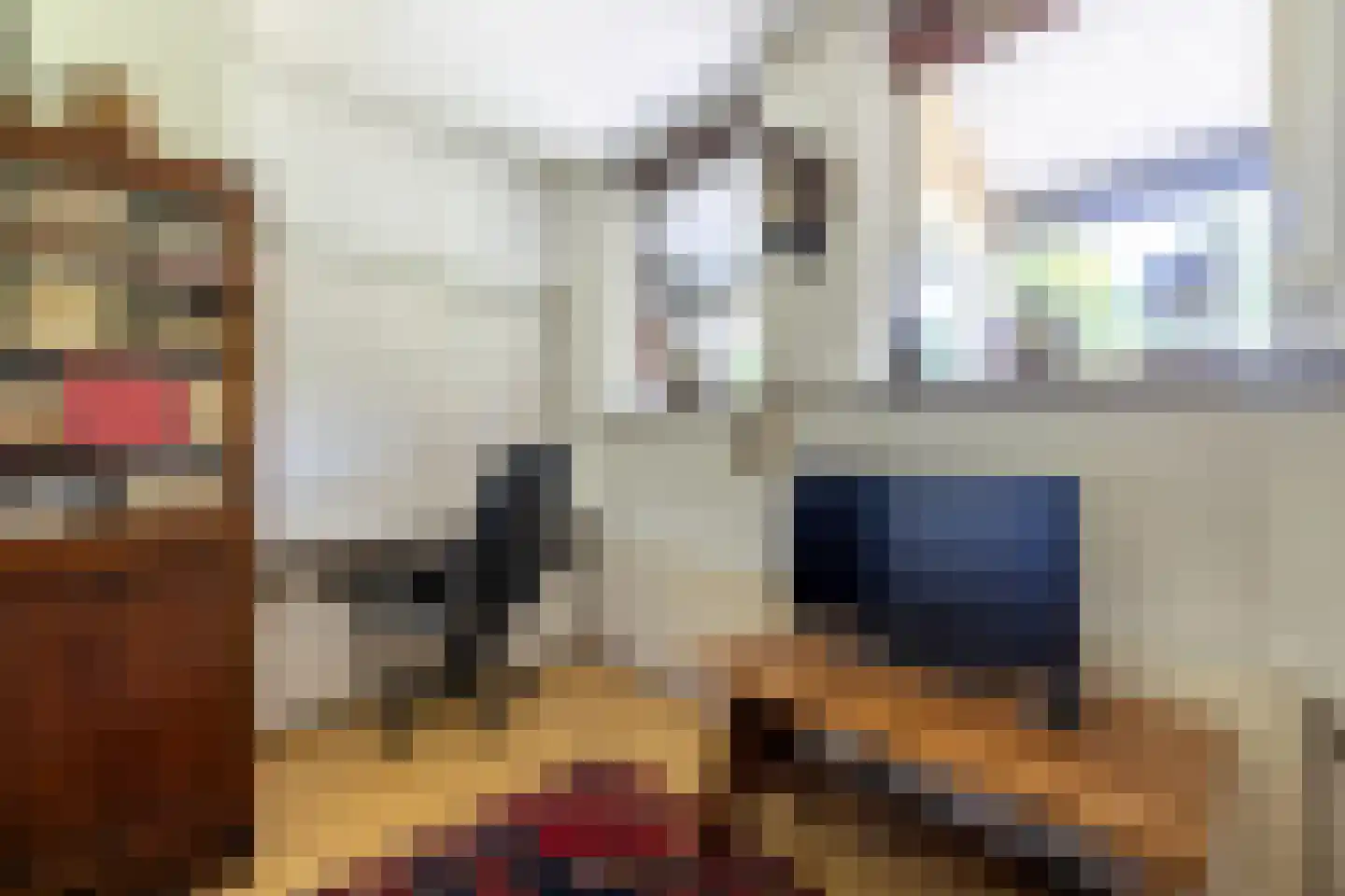 Rekhemseweg 27 Doetinchem thumbnail 28