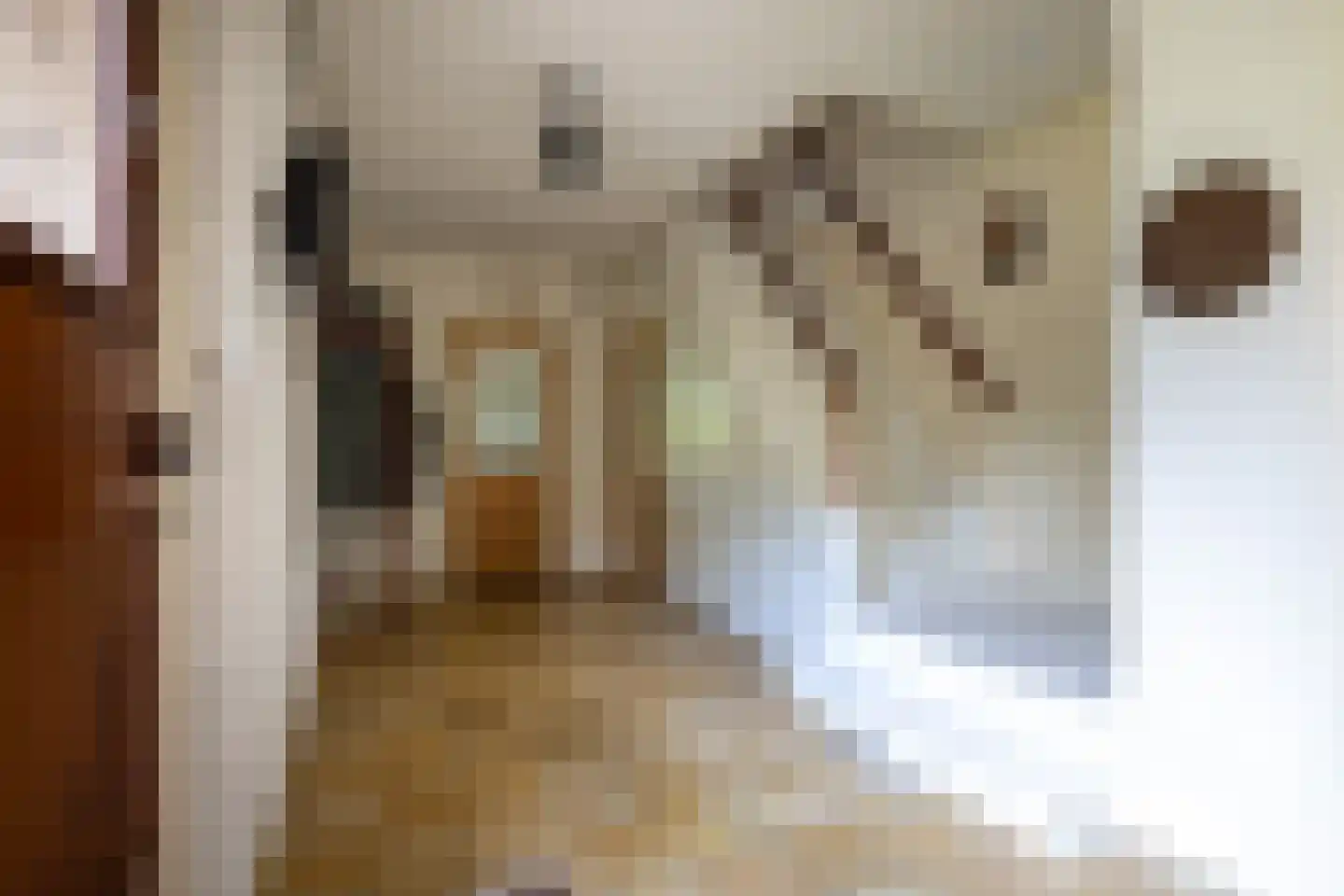Rekhemseweg 27 Doetinchem thumbnail 29