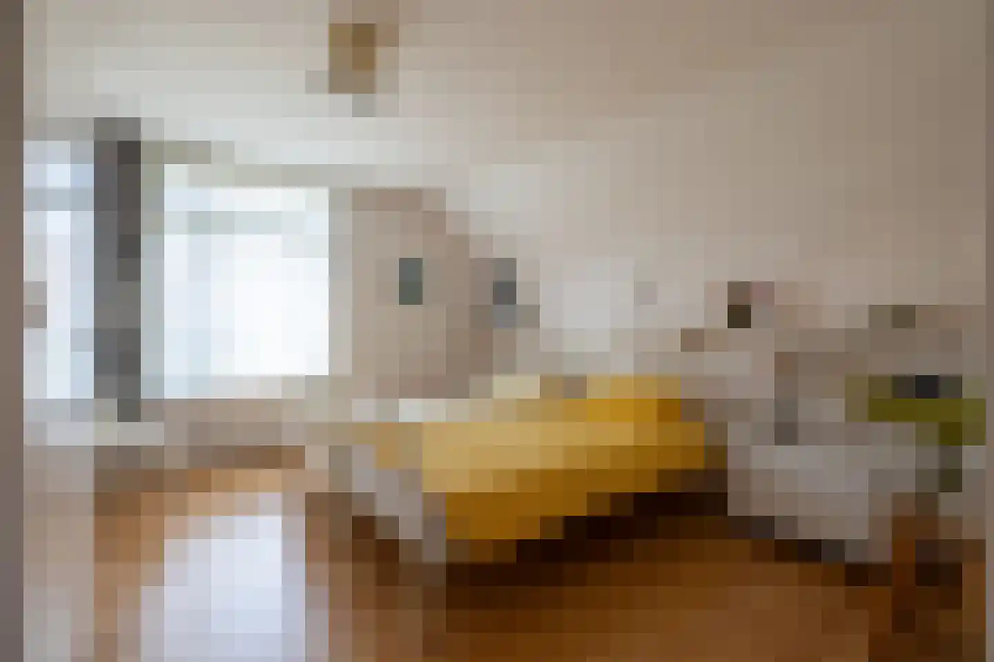 Rekhemseweg 27 Doetinchem thumbnail 34