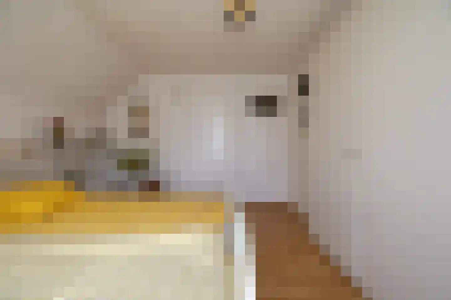 Rekhemseweg 27 Doetinchem thumbnail 35