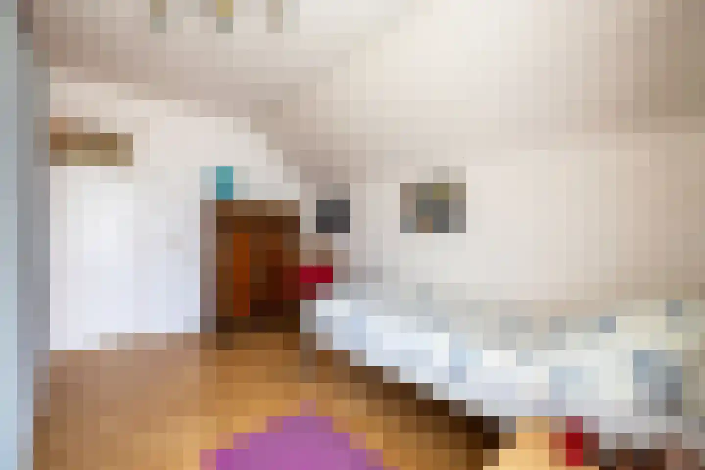 Rekhemseweg 27 Doetinchem thumbnail 37