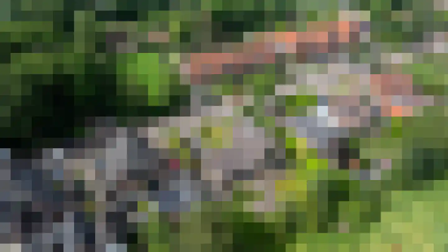 Rekhemseweg 27 Doetinchem thumbnail 49