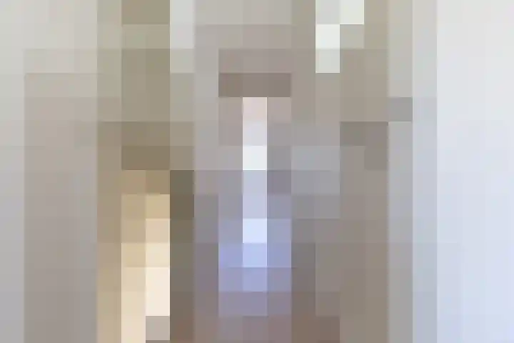 Rekhemseweg 32 Doetinchem thumbnail 18