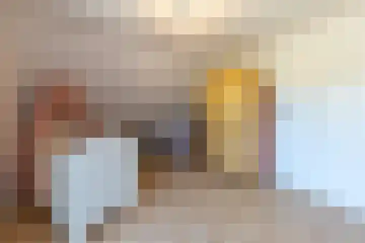 Rekhemseweg 32 Doetinchem thumbnail 20