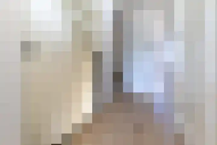 Rekhemseweg 32 Doetinchem thumbnail 27
