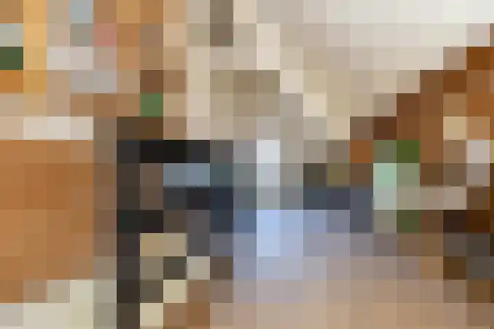 Rekhemseweg 32 Doetinchem thumbnail 28